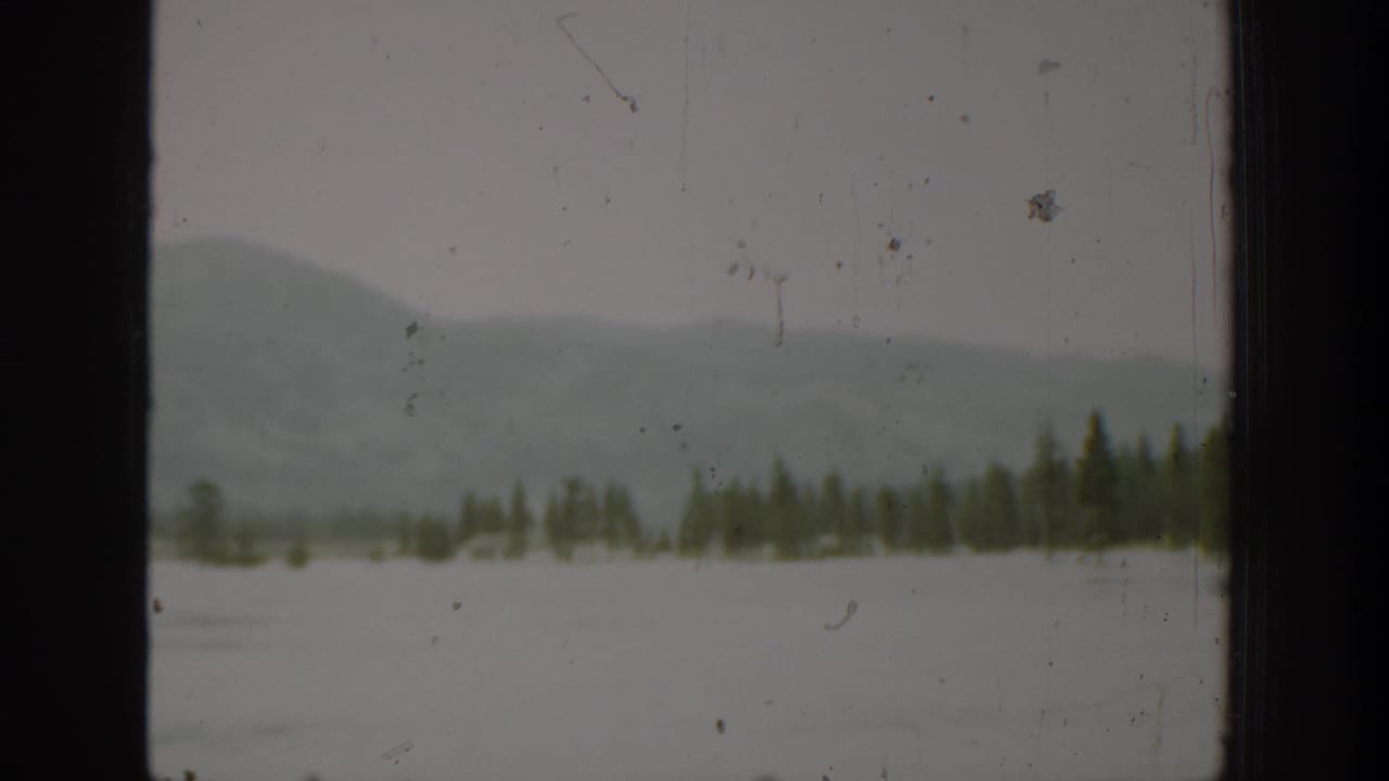 Evergreen trees line a pale waterside foreground beneath hazy hills and gray sky.