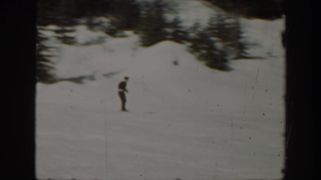 Single skier on a broad snowy hillside beneath trees.