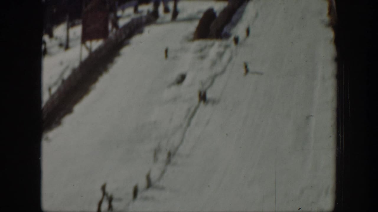 Distant skiers on a snowy slope bordered by trees.
