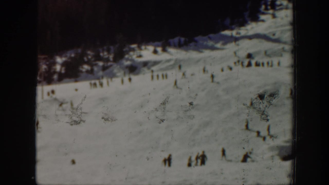 Small groups of skiers on a broad snowy slope with dark trees beyond.