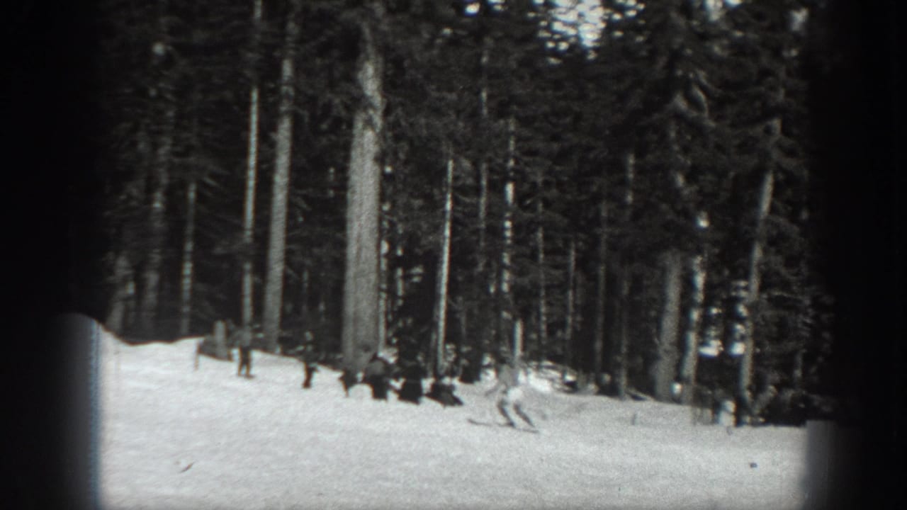 Distant figures skiing or standing on a snowy clearing among evergreen trees.