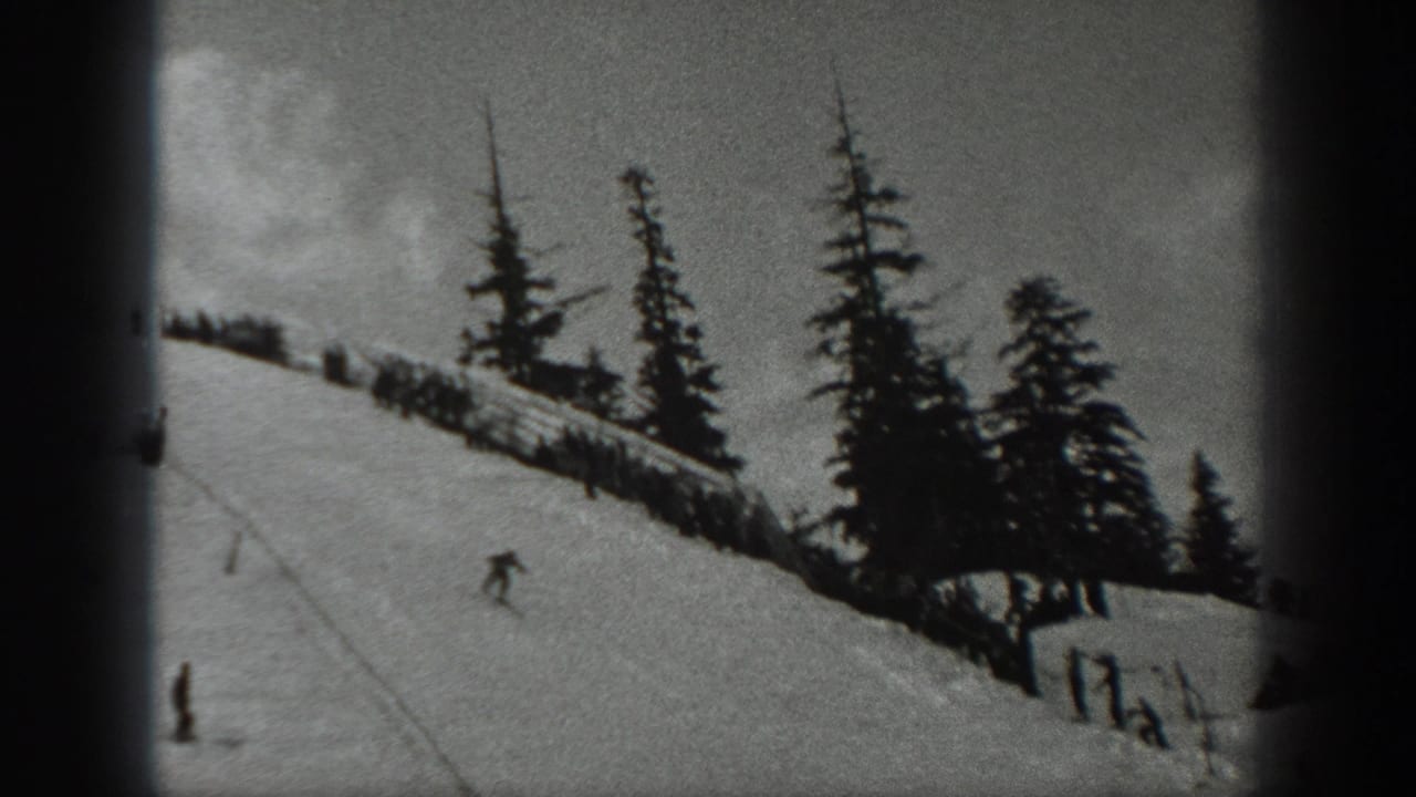 Lone skier descends a snowy slope below evergreen trees and a fence line.