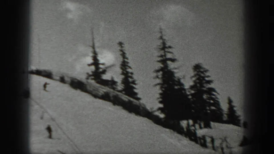 A distant skier moves down a Washington snow slope, with tall evergreens silhouetted along the upper edge of the frame.