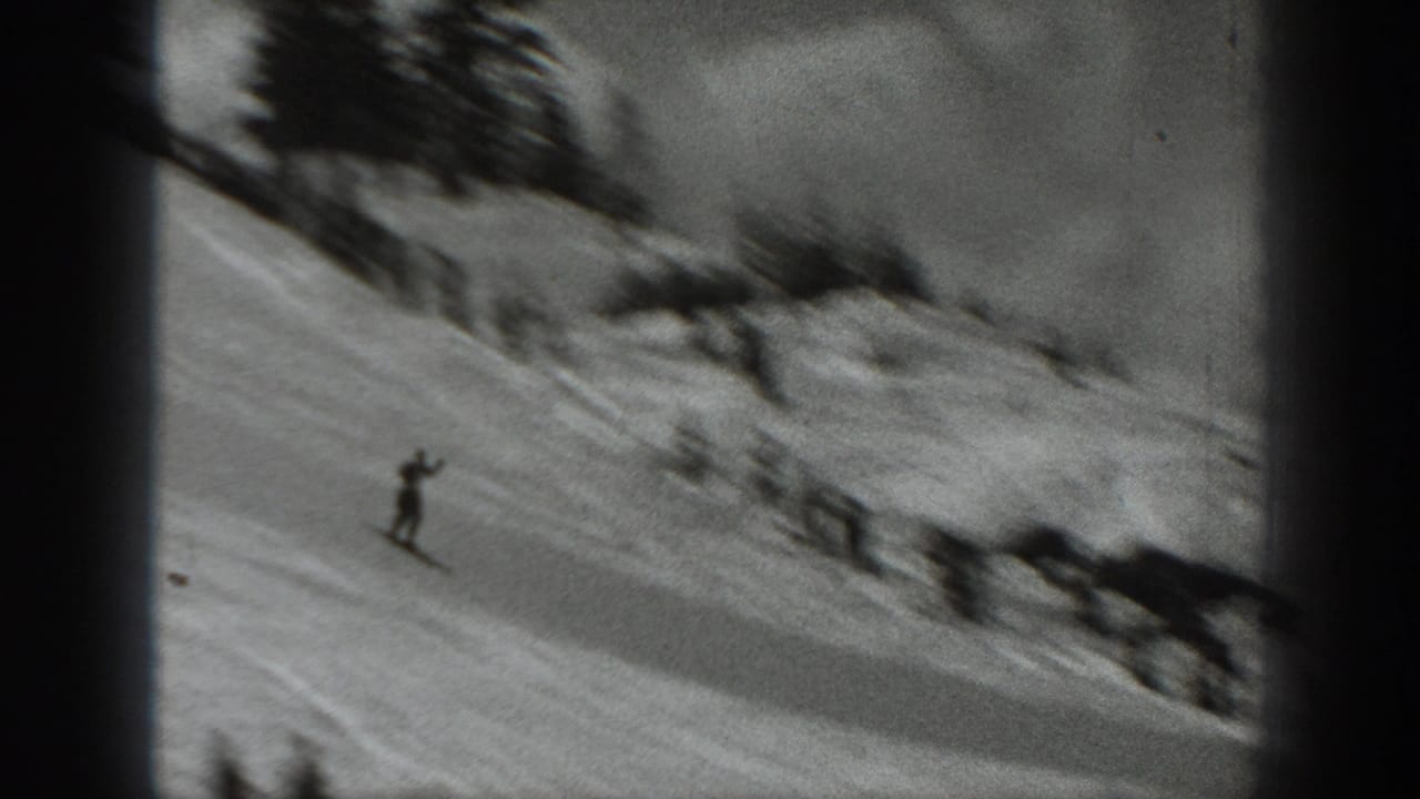 A skier descends a snowy hillside near dark trees.