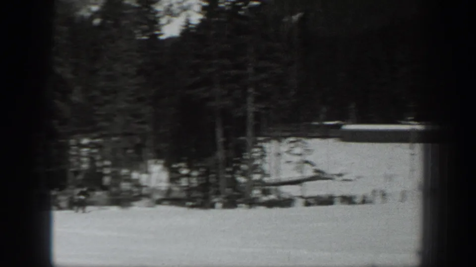 Wide home-movie view of a snow-covered field near evergreen woods, with small skiers or visitors in the distance.