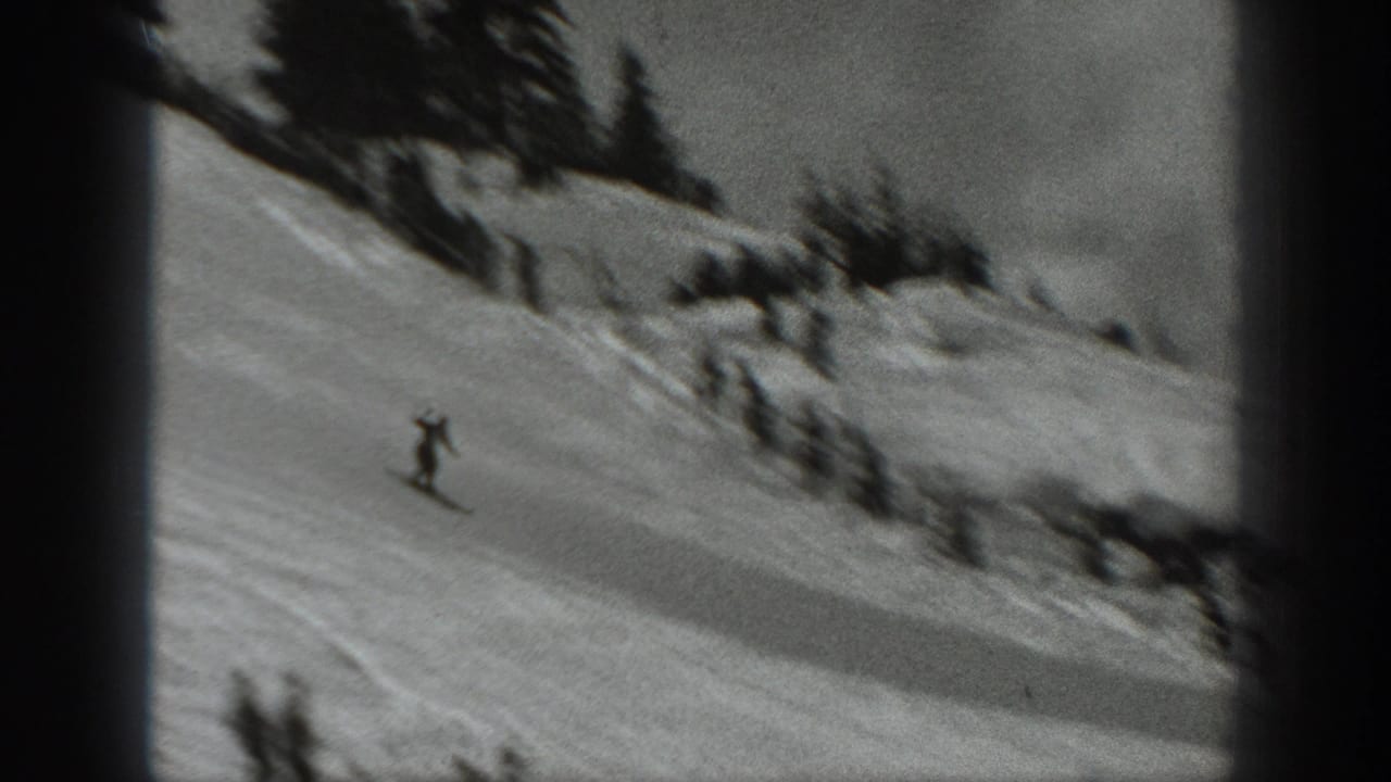A lone skier descends a snowy slope near trees and scrub.