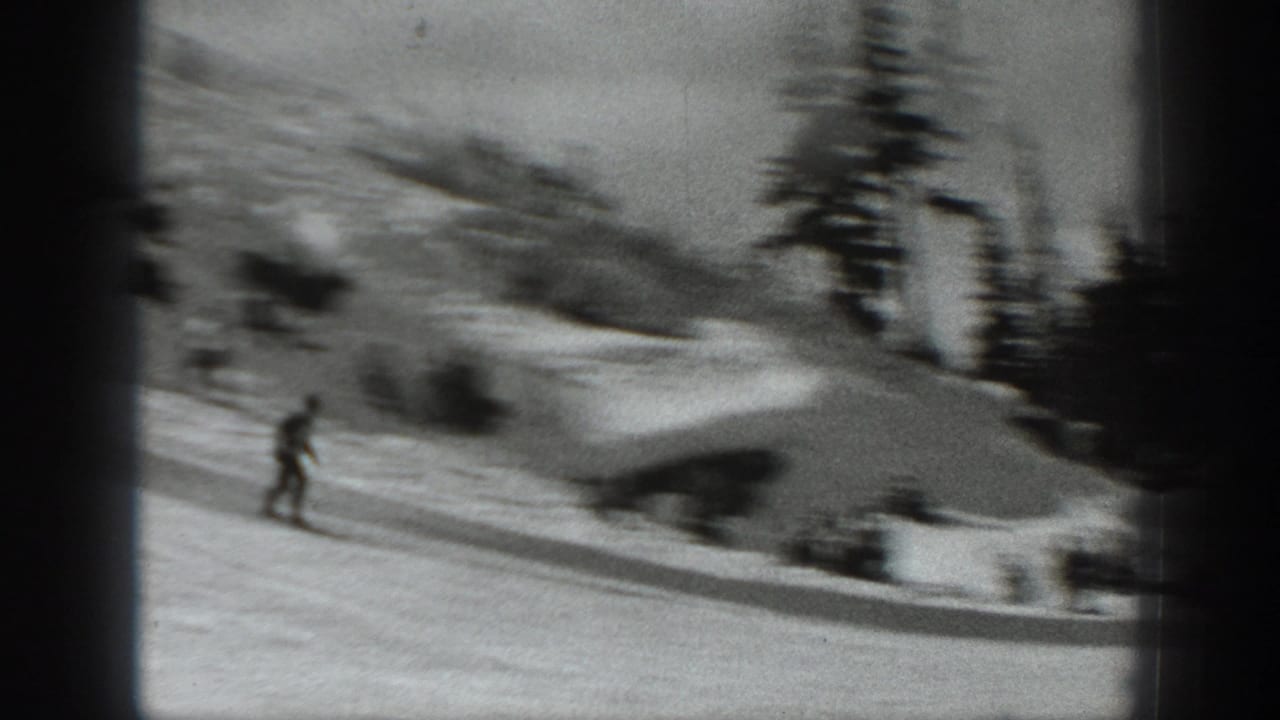 Skier moves across a snowy slope with evergreen trees and distant figures beyond.