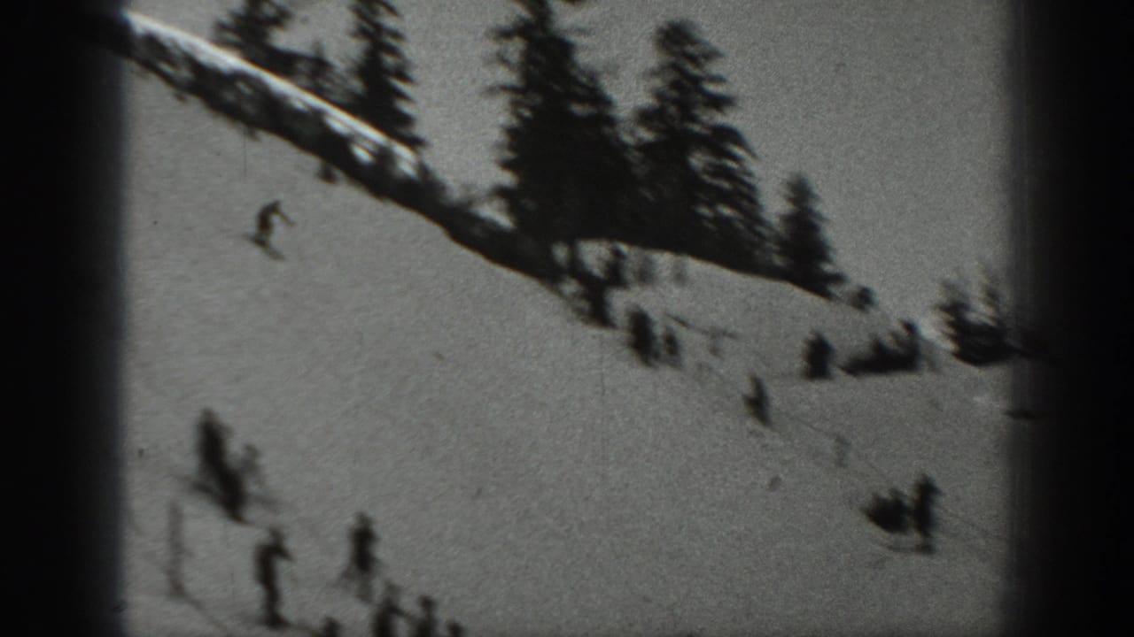 Wide snowy hillside with small skiers and dark evergreen trees along the upper slope.