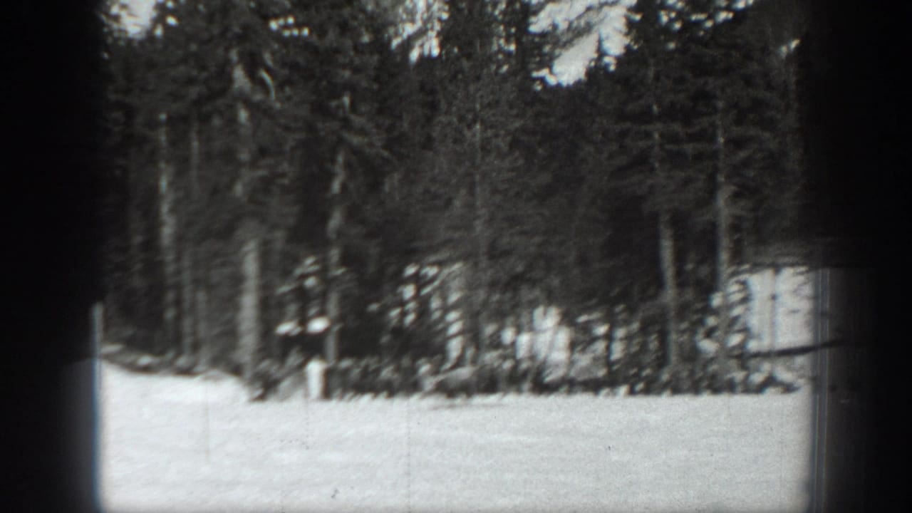 1940 Washington home-movie frame showing a snowy open slope or clearing edged by tall pine trees.
