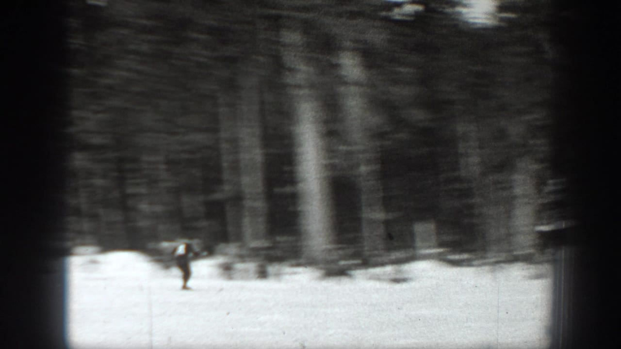 Distant skier crossing a snowy slope beside dark evergreen woods.