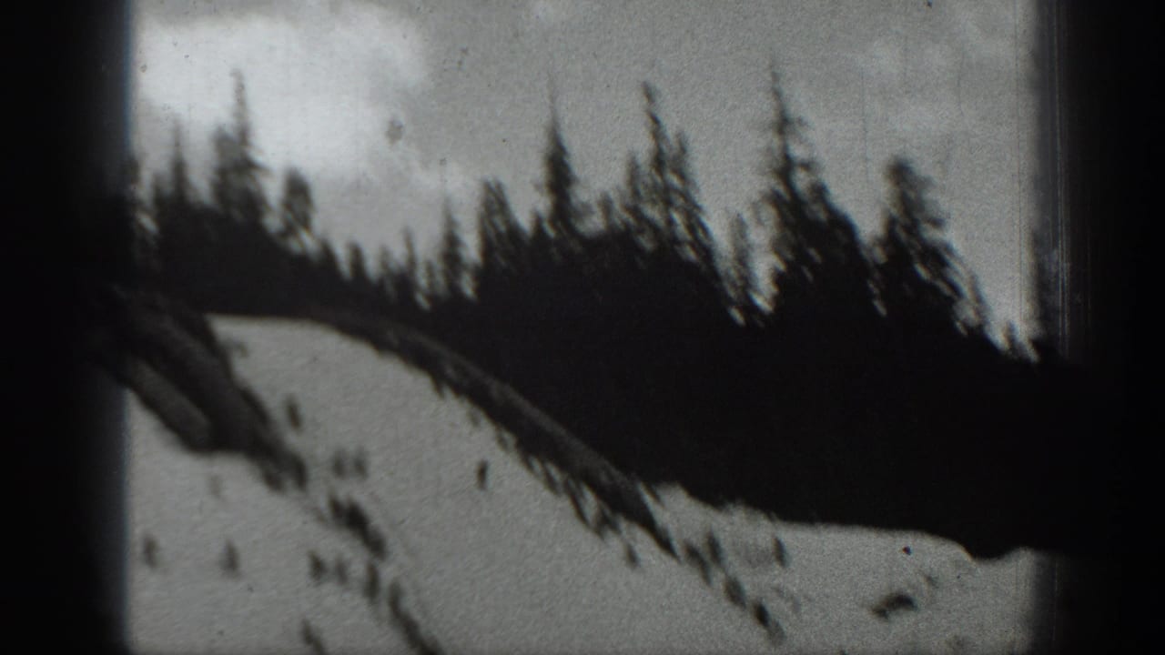 Snowy hillside with distant sledders below a dark evergreen tree line.