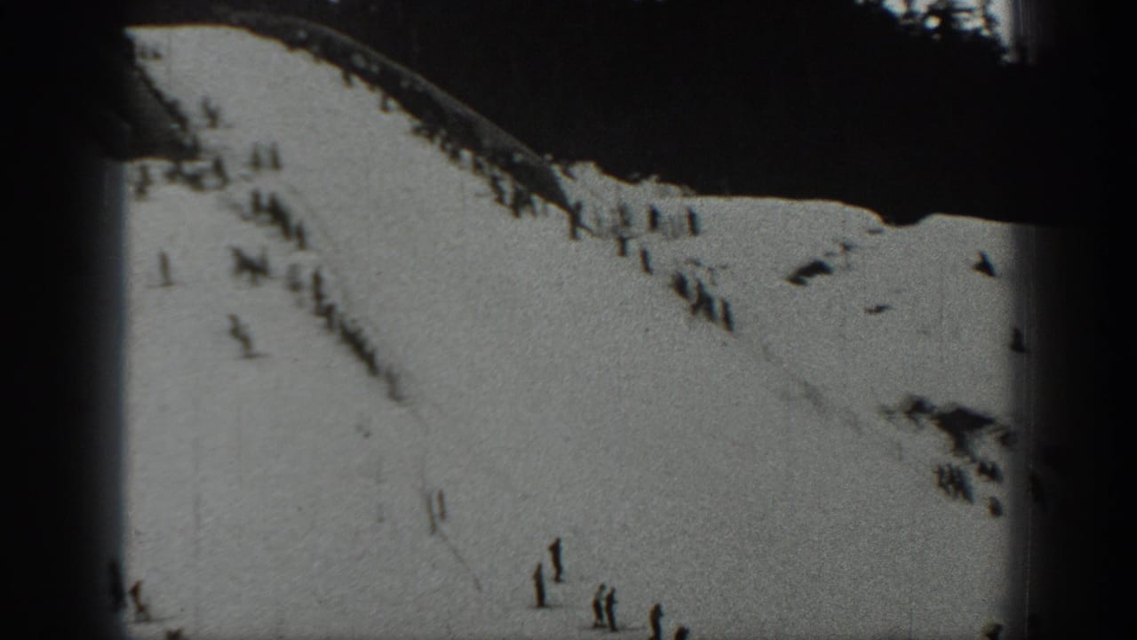 Snowy ski slope with distant skiers and dark evergreen trees at the top edge.