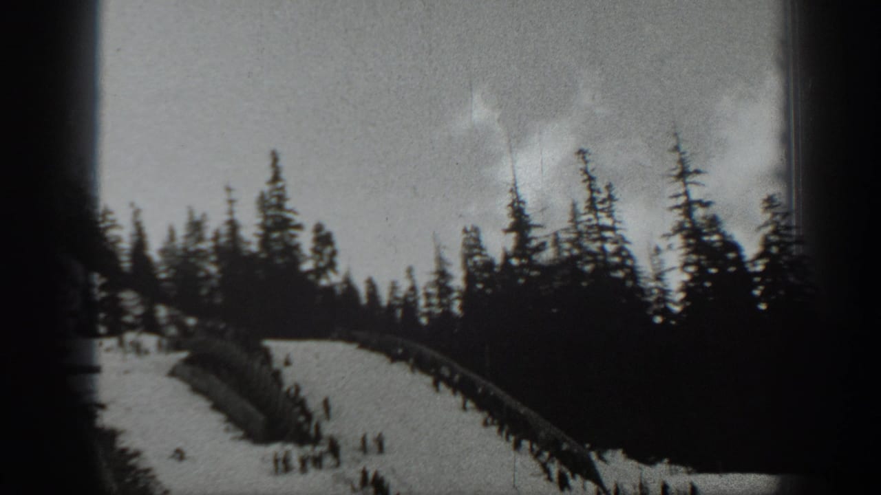 Ski slope below tall pines, with small groups of skiers near the lower snowfield.