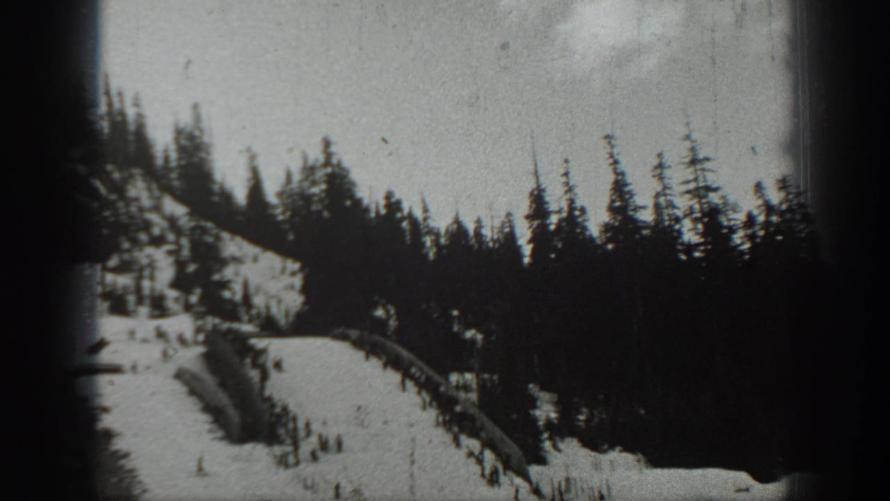 1940 Washington ski-area view of a snowy hillside run cutting through dark evergreen forest.