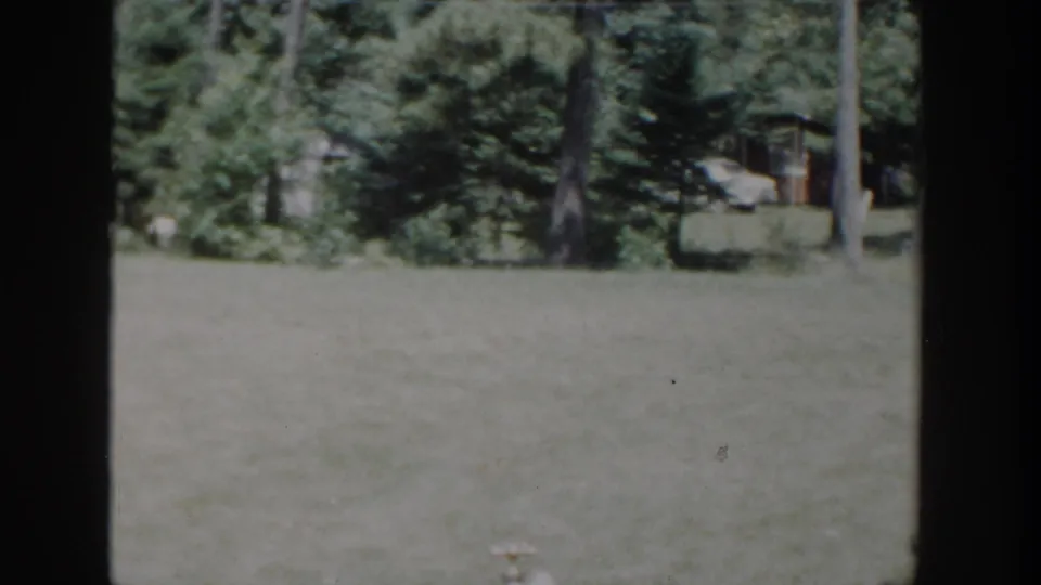 1953 Wisconsin 8mm frame showing a sunlit backyard, tall trees, and a small building partly hidden beyond the lawn.