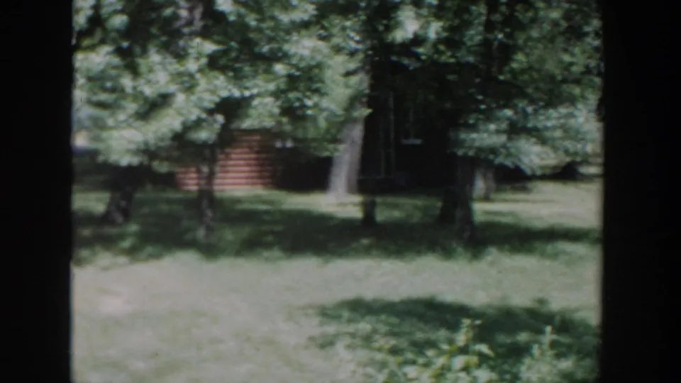 1953 Wisconsin 8mm view of a wooded backyard, with a cabin-like structure partly concealed by trees and shade.