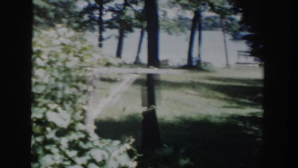 1953 Wisconsin 8mm frame showing shrubs, grass, tall lakeside trees, and water visible in the background.