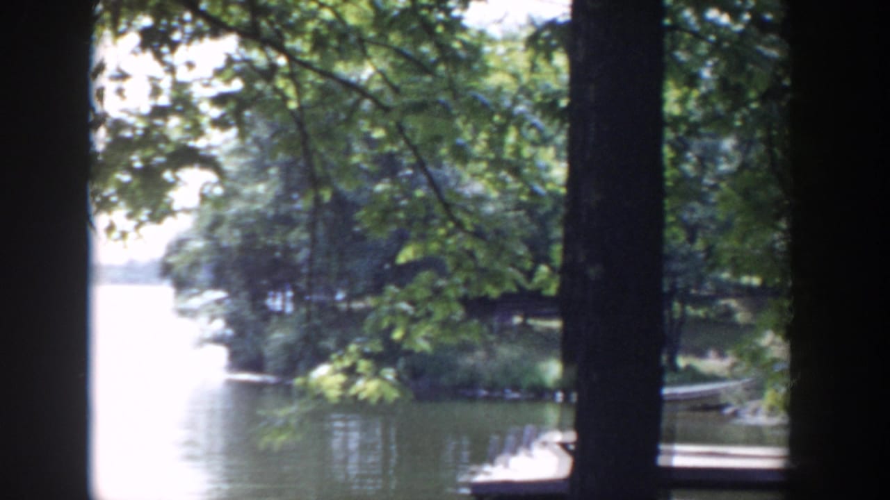 1953 Wisconsin 8mm frame looking through lakeside trees toward calm water, a wooded shoreline, and a small dock.