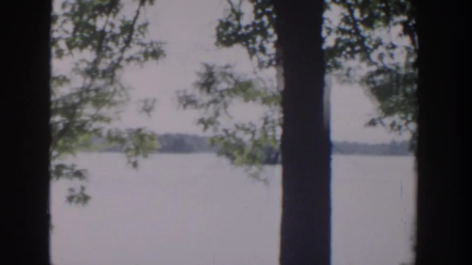 1953 Wisconsin home-movie frame showing shaded trunks and branches in front of pale lake water and a low wooded horizon.