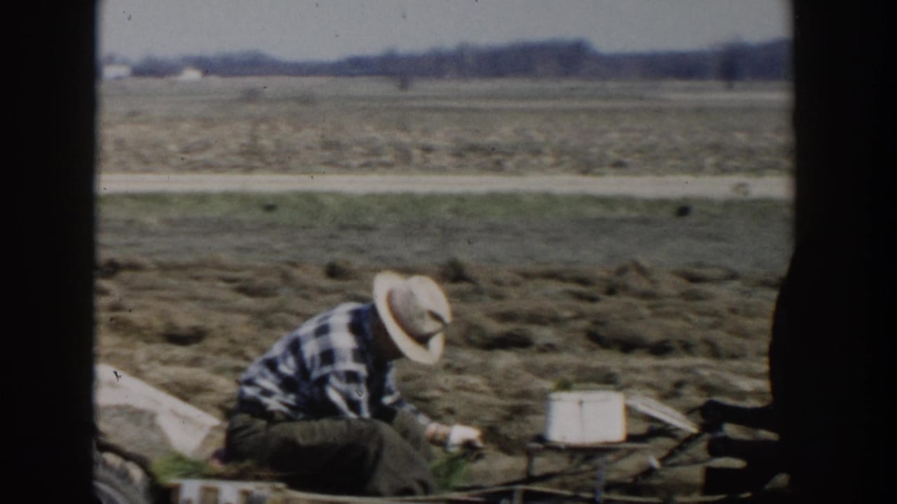 Crouching farm worker handles something near a small implement in an open field.
