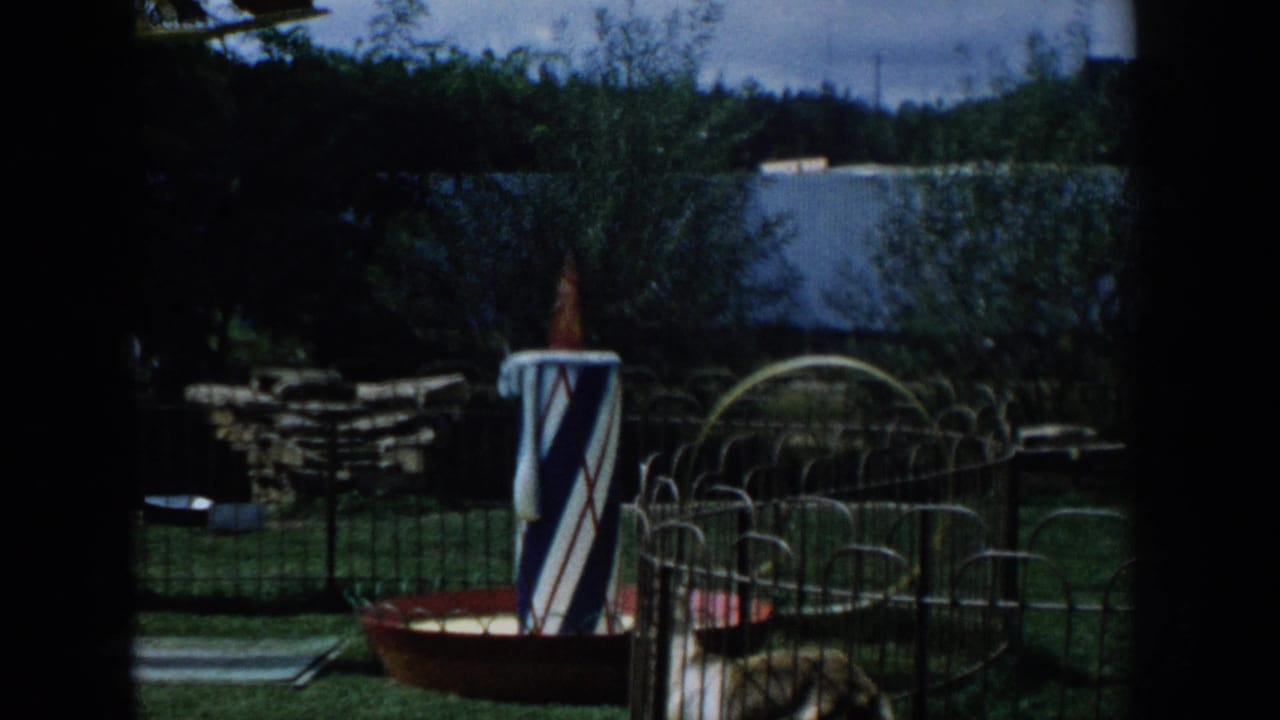 1954 Wisconsin Dells 8mm frame showing a fenced deer area beside a striped pole, stonework, grass, and trees.