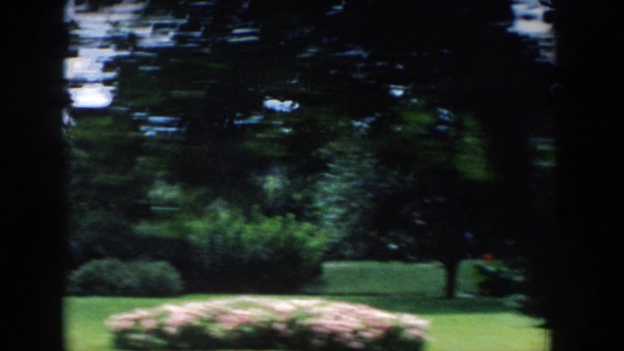 1954 Wisconsin Dells home-movie frame showing a landscaped park with green lawn, pale flowers, and dark tree trunks during a moving shot.