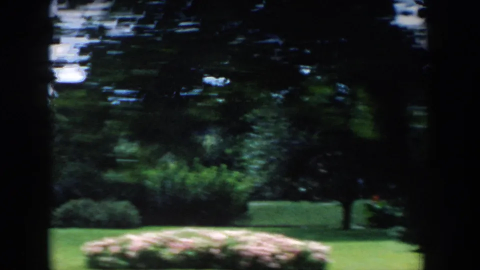 1954 Wisconsin Dells home-movie frame showing a landscaped park with green lawn, pale flowers, and dark tree trunks during a moving shot.