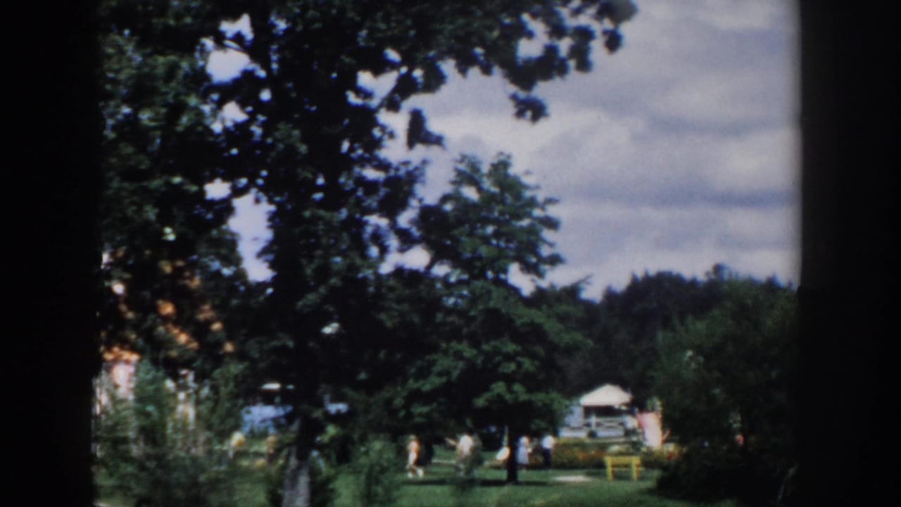 Tree-lined park scene with distant people, small structures, and cloudy sky.