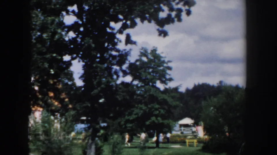 1954 Wisconsin Dells park view with large trees, distant visitors, small structures, and overcast sky seen from a moving vehicle.