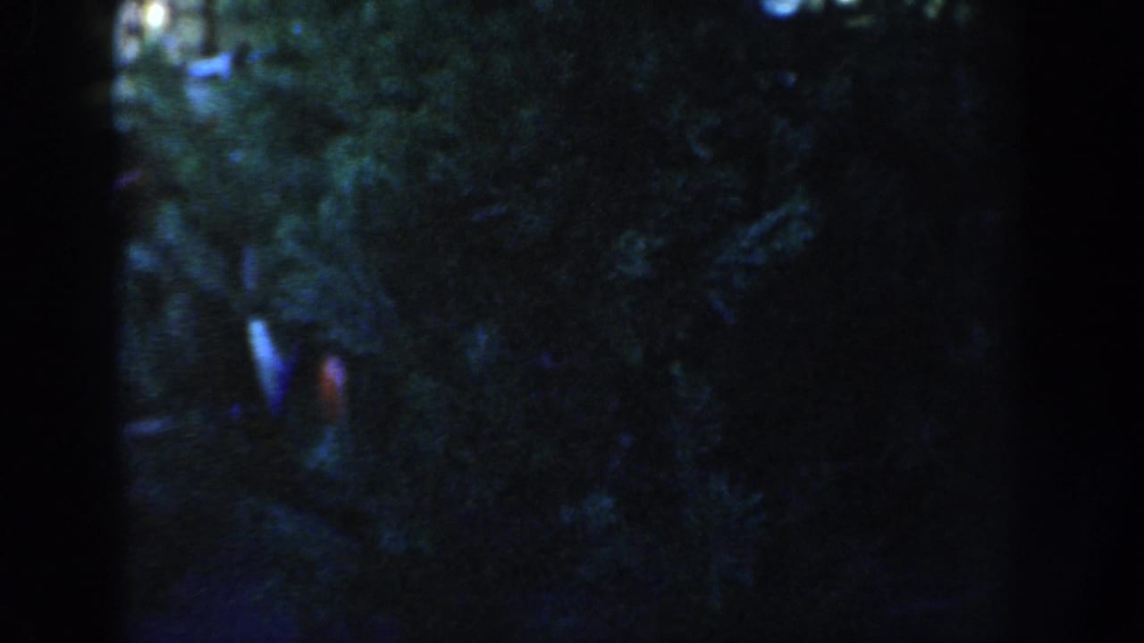 The clip ends on a dim, blurred home-movie view of trees or shrubs, suggesting a quick handheld camera move from the street scene.