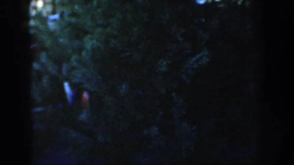 The clip ends on a dim, blurred home-movie view of trees or shrubs, suggesting a quick handheld camera move from the street scene.