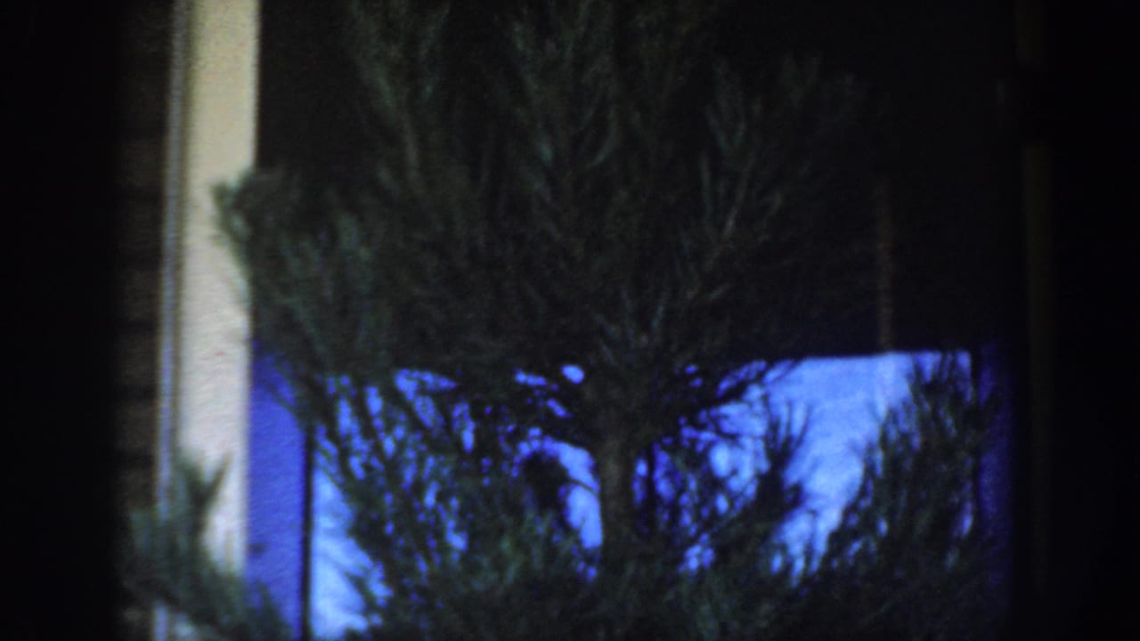 Blue-tinted 1954 home-movie frame showing a conifer and shrubs beside a residential doorway or wall in Wisconsin Dells.