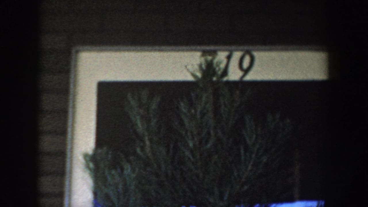Wisconsin Dells residential doorway with number 719 partly visible behind a large conifer in 1954 8mm footage.