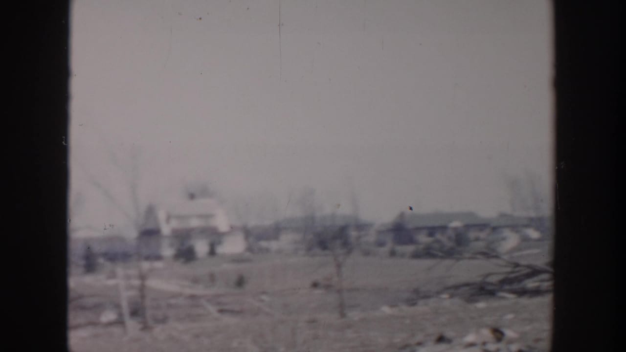 Blurred outdoor view of bare trees, low houses, open ground, and scattered debris.