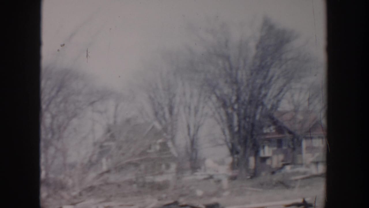 Residential houses partly obscured by leafless trees and soft focus.