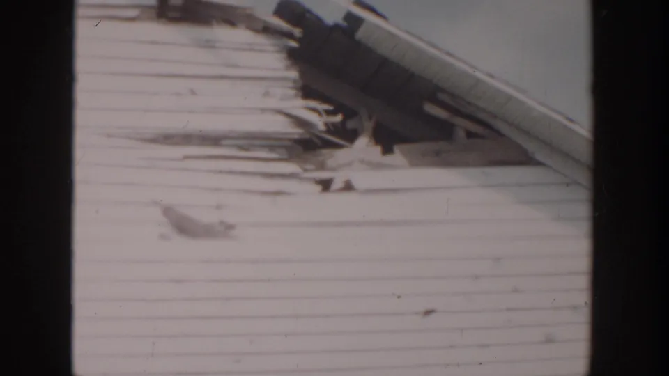 1956 Grand Rapids home-movie frame showing a damaged roofline, gutter area, and white siding on a residential exterior.