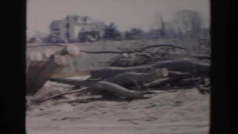 Home-movie view of cut logs, branches, and debris on open ground, possibly showing cleanup or land clearing.