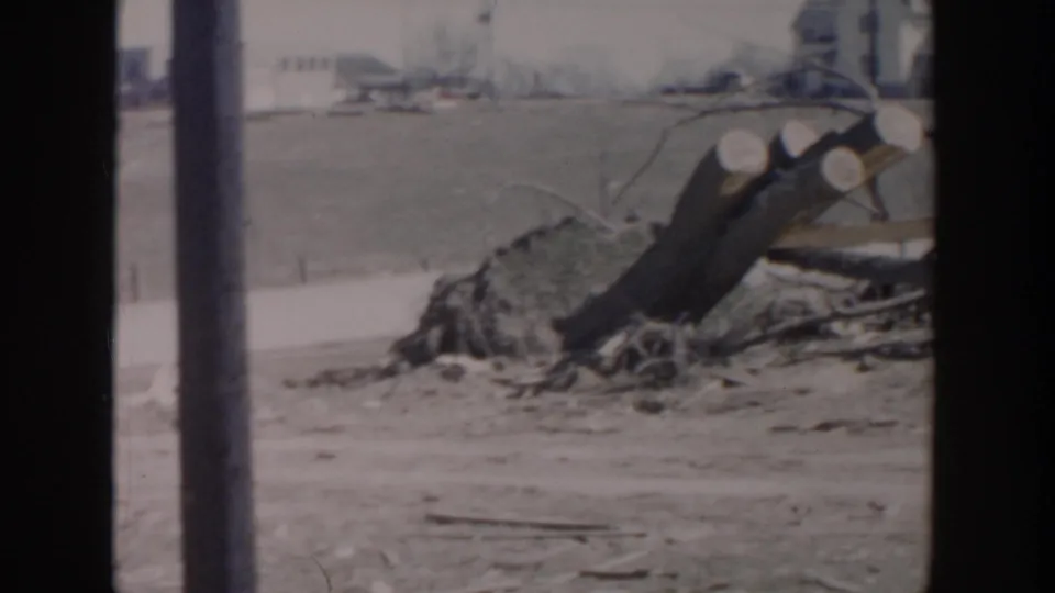 8mm frame showing a stump, cut trunks, branches, and debris in an outdoor residential or roadside setting.