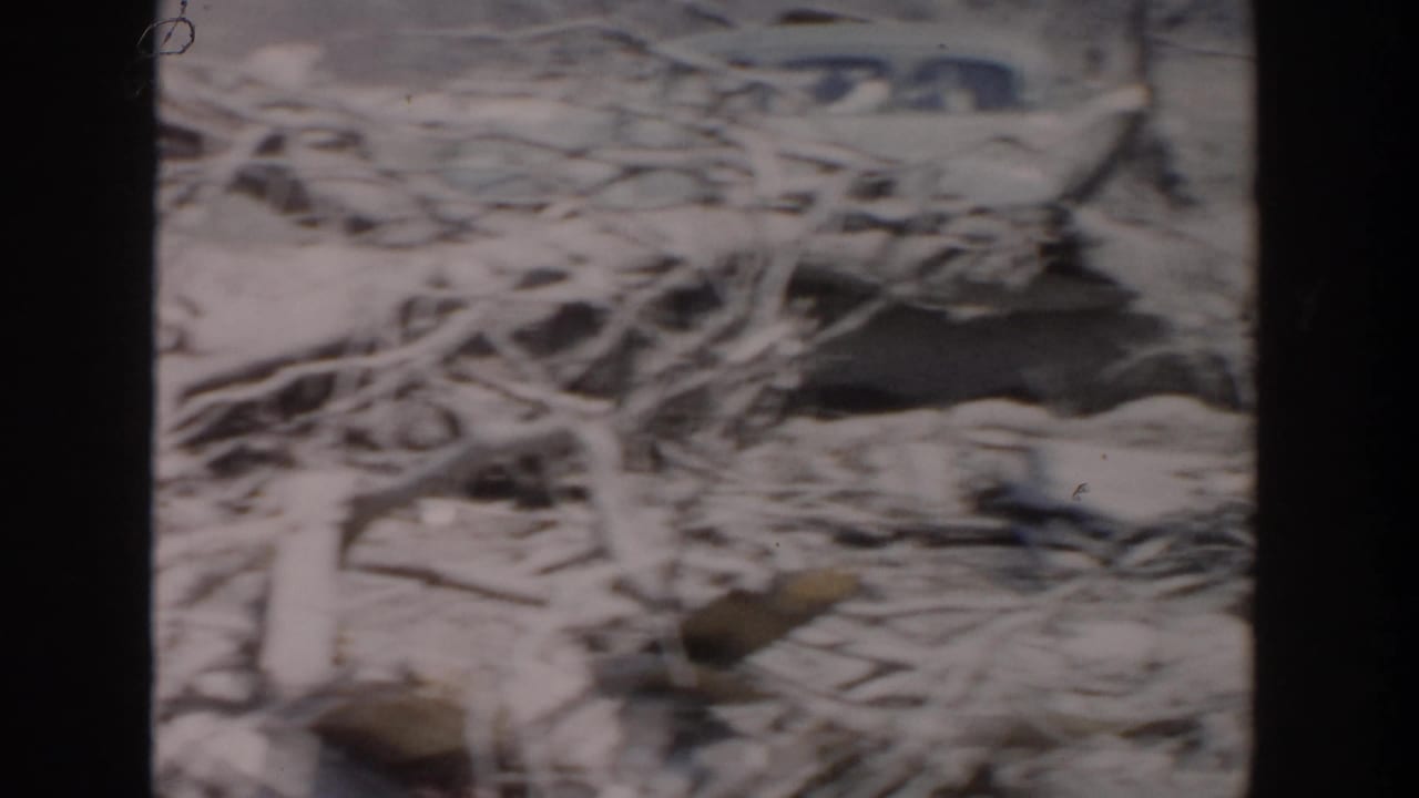 1956 Grand Rapids home-movie frame showing felled branches and brush across a cleared or disturbed site.