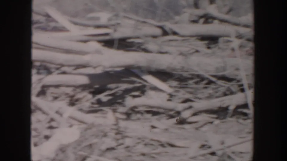 Tangled tree limbs and debris appear across a cleared Grand Rapids site in this soft 8mm frame from 1956.