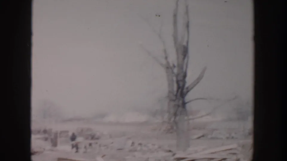 A bare tree stands beside an open cleared area in Grand Rapids, with small distant people visible in the 1956 frame.
