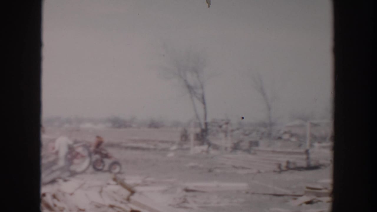 Debris field with bare trees and a small tractor or machine near the center.