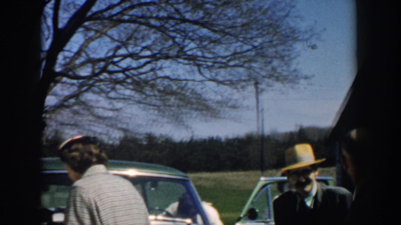 Adults stand near cars under a large tree, with a grassy field in the background.