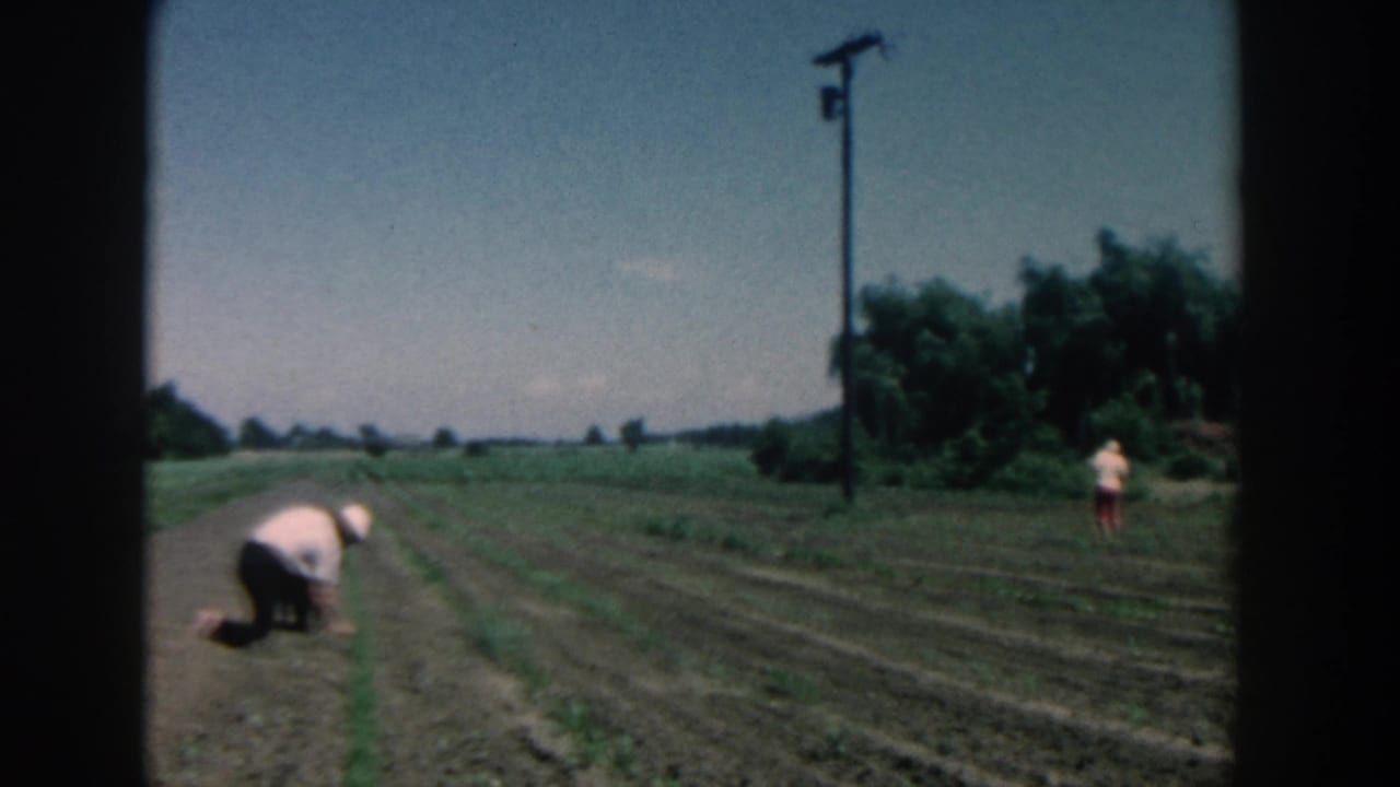 Two people in a garden field, one kneeling in front and another standing farther back.