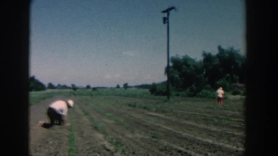 1957 Michigan home-movie frame with one person kneeling among garden rows and another figure standing near the tree line.
