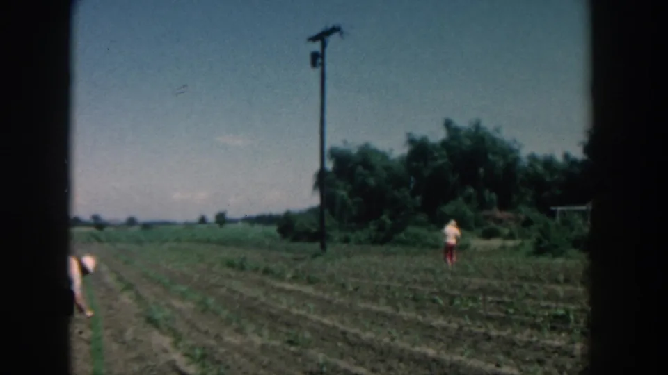 1957 Michigan 8mm frame showing a wide garden field, a partly cropped foreground worker, and a distant person near trees.