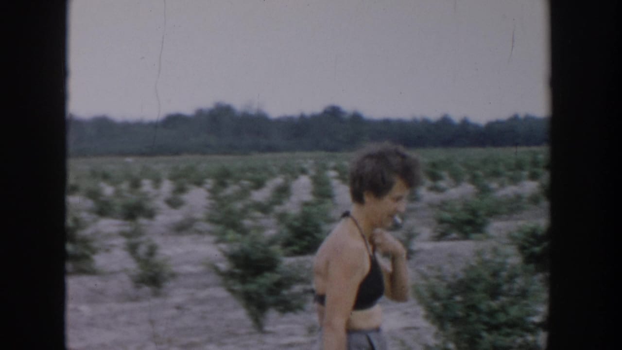 In 1957 Michigan home-movie footage, a woman walks between rows of young crops in an open rural field.