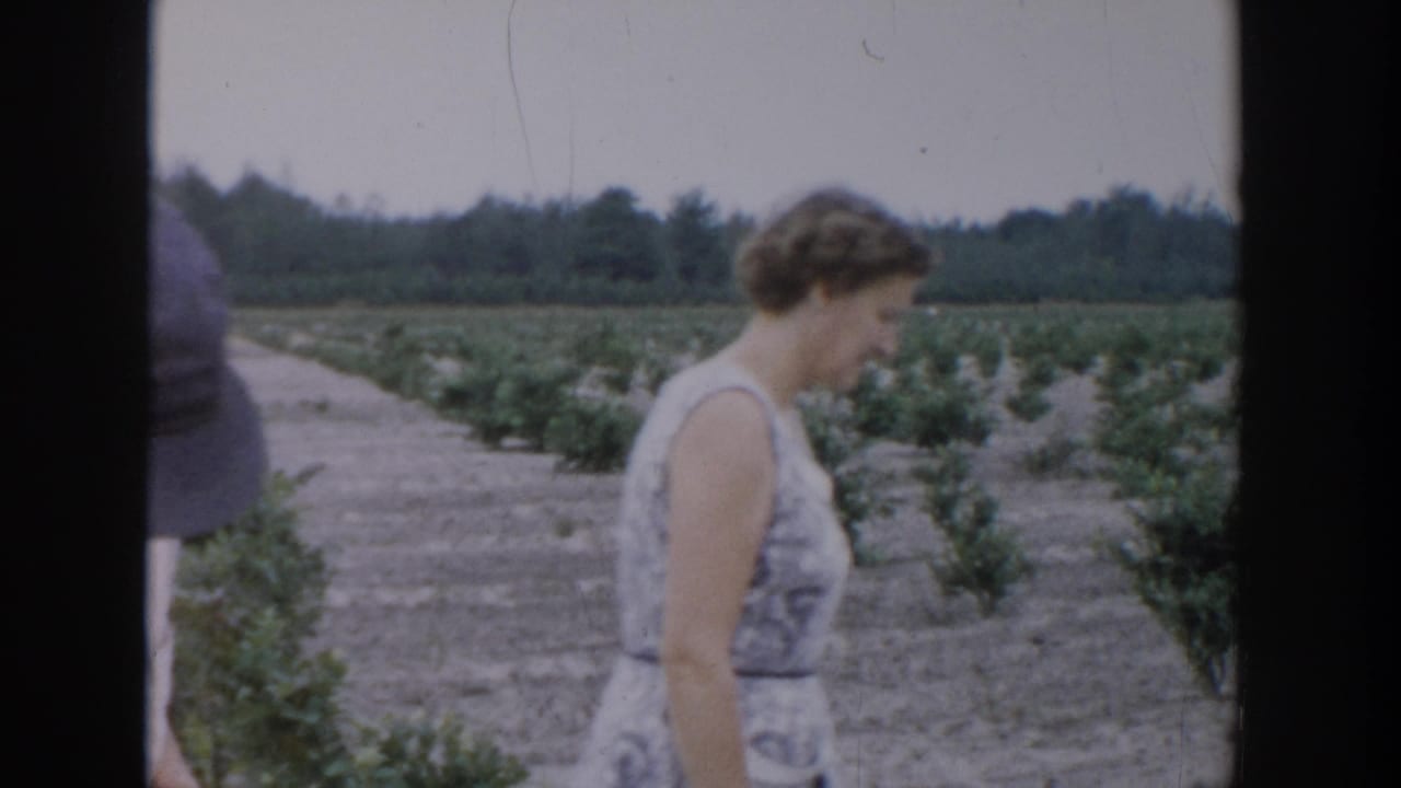 Woman in a patterned sleeveless dress walking beside crop rows in a field.