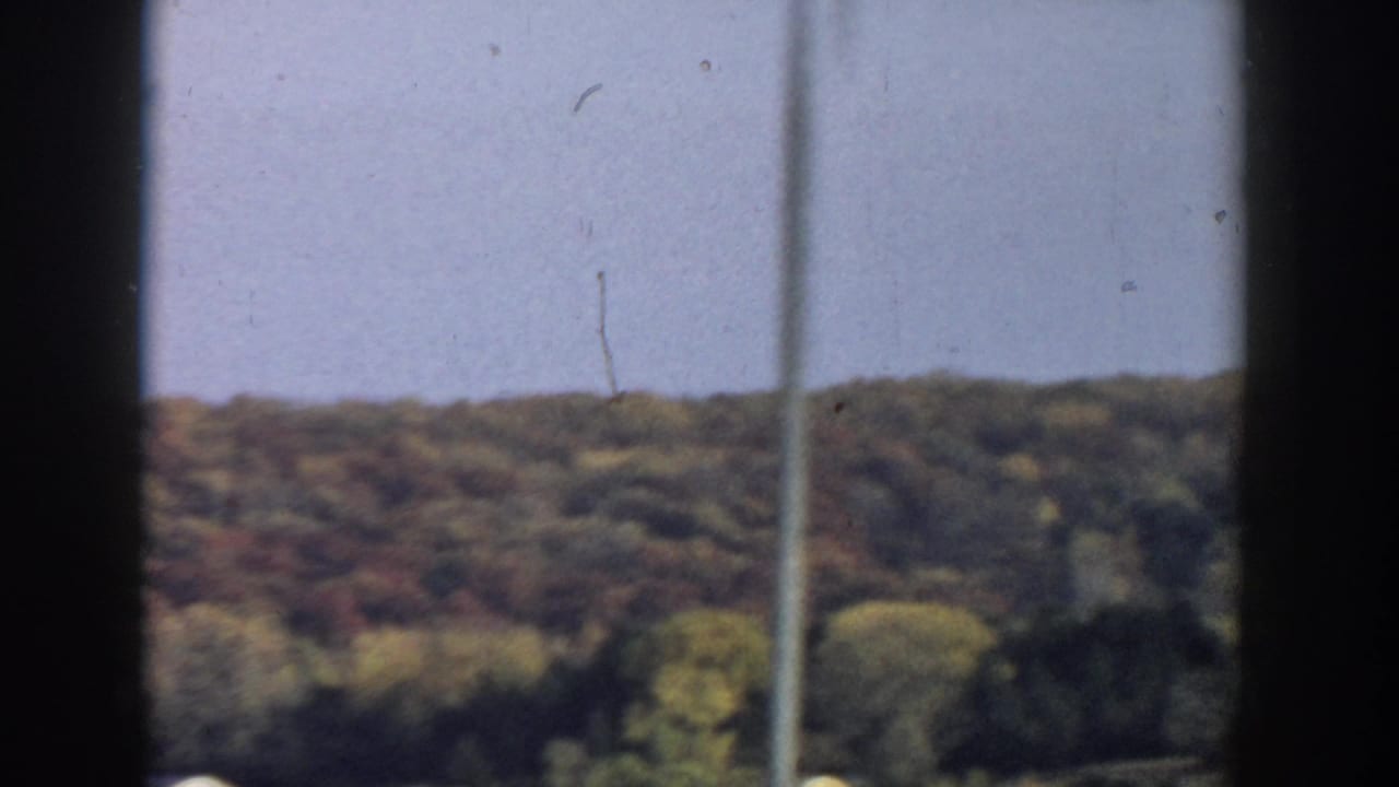 Wooded hillside seen through dark film borders with a vertical pole near the center.