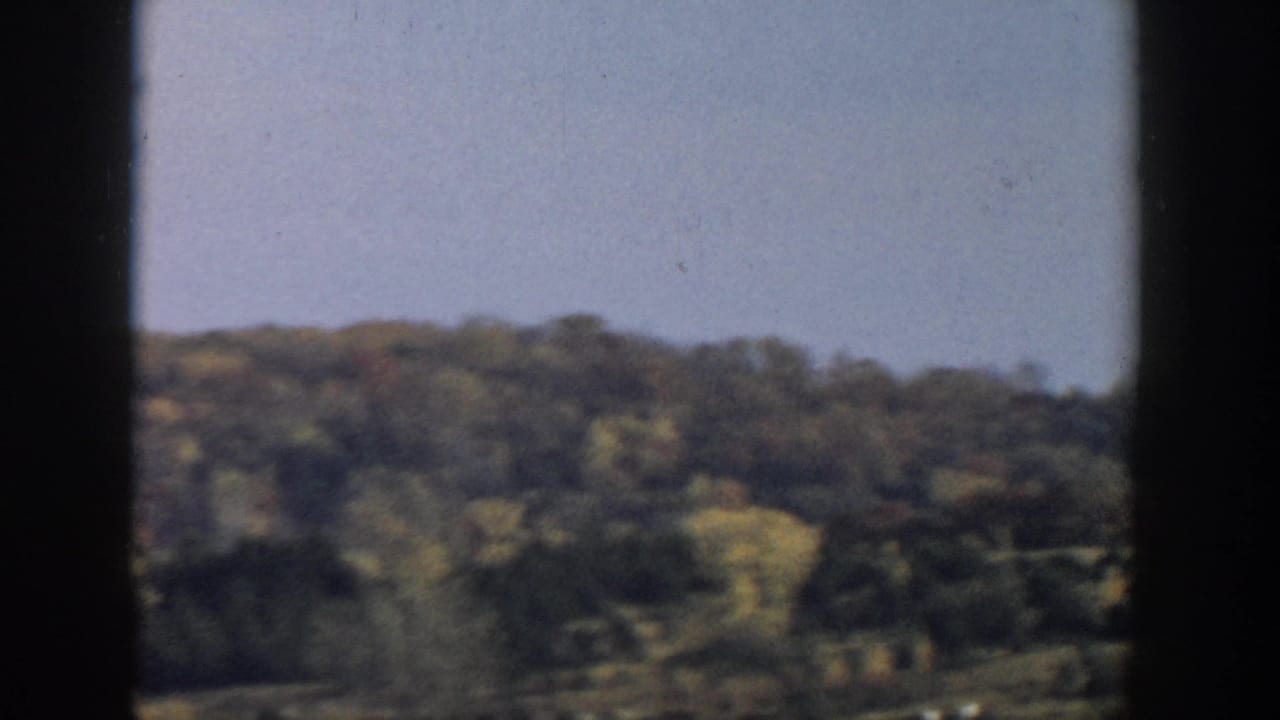 Soft view of dense trees and rolling ground framed by dark vertical film edges.